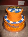 2010 11 05 - Orange Star Wars Cake